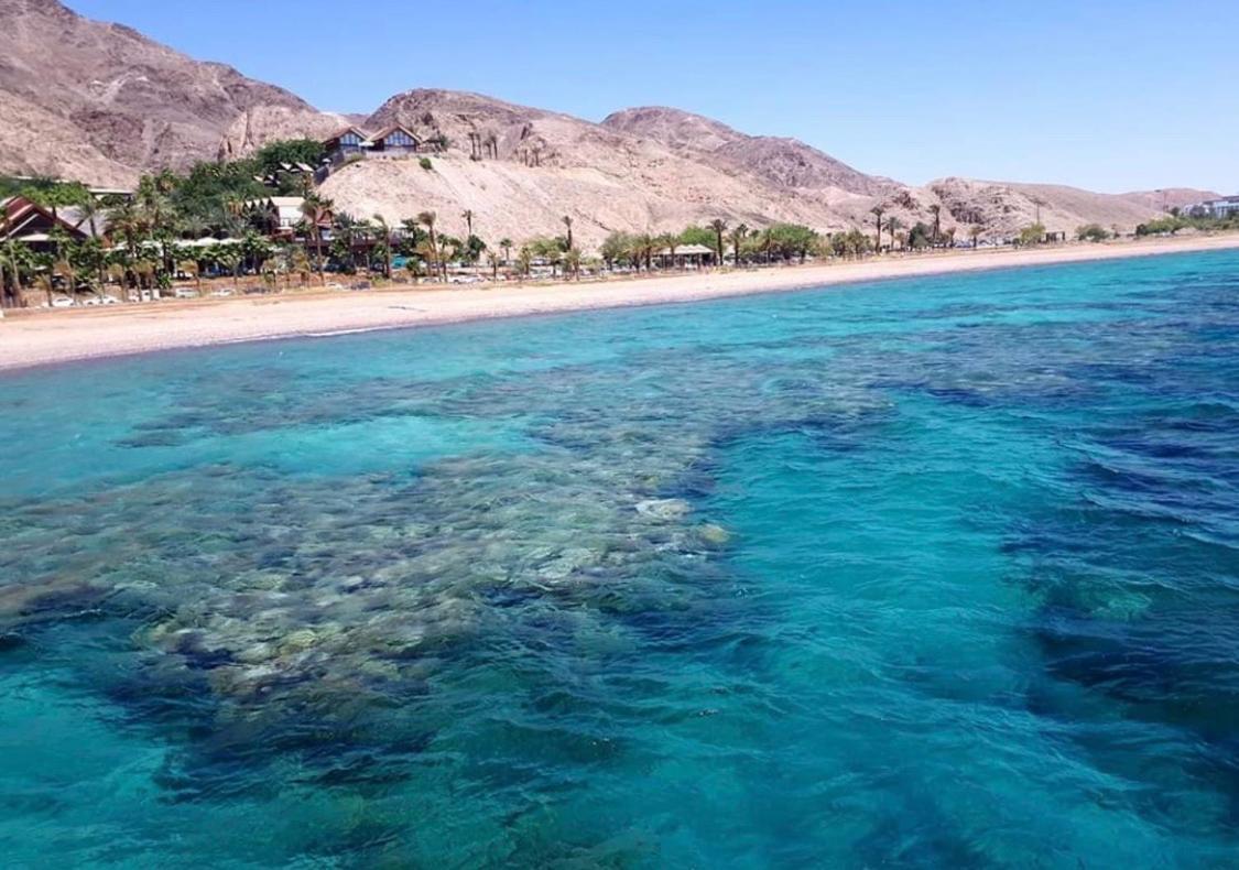 Eilat Suite Boutique Eksteriør billede